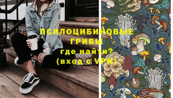 твердый Балахна