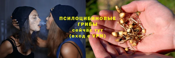 твердый Балахна