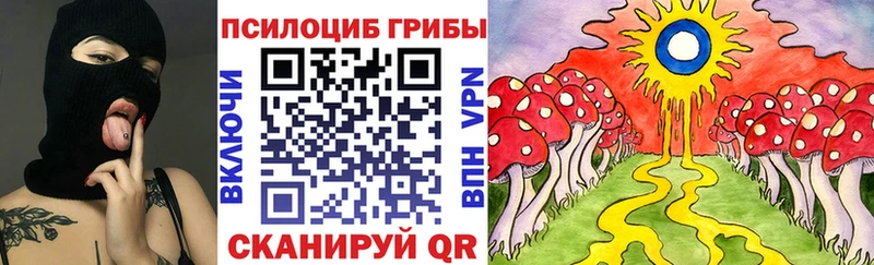 купить наркотики цена  Калуга  Галлюциногенные грибы MAGIC MUSHROOMS 