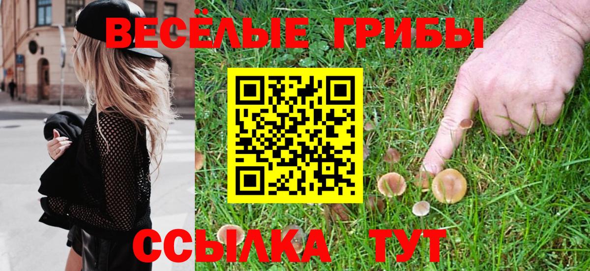 Калуга  Псилоцибиновые грибы Psilocybe  Вход с VPN 